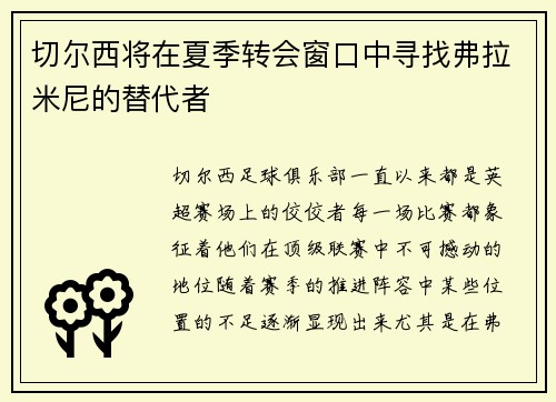切尔西将在夏季转会窗口中寻找弗拉米尼的替代者